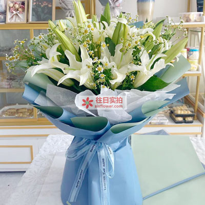 南宁8支白色多头百合洋甘菊,互倾的思念